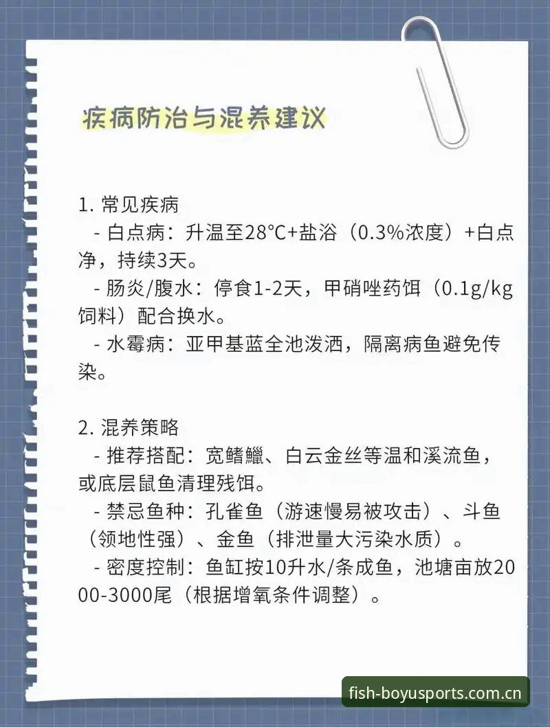 2026博鱼体育注册 2026博鱼体育注册全流程指南:从入口选择到账户激活的完整解析